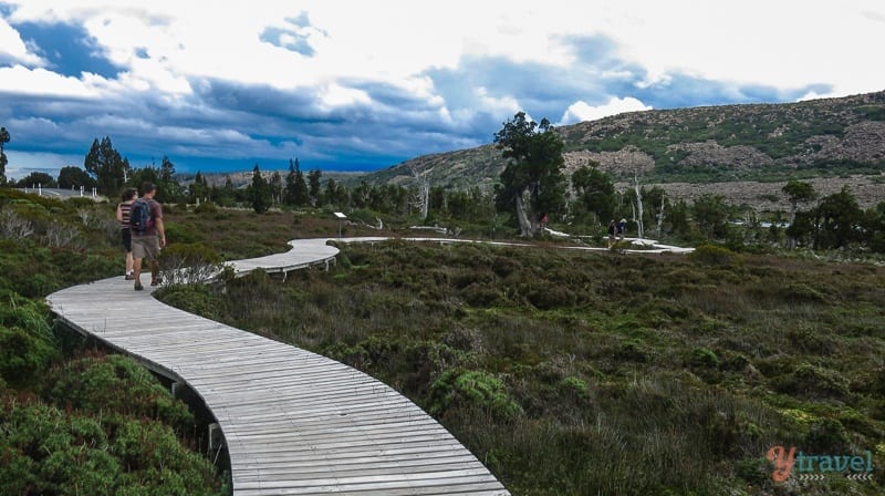 wooden boardwalk winding through alpine landscape