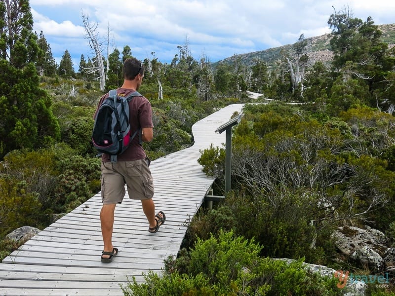 man on the Pine Lake Walk boardwalk