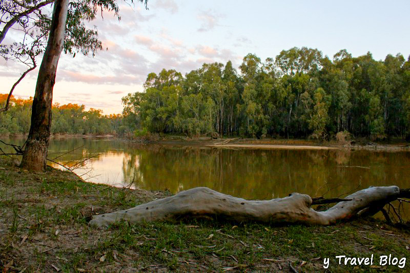 log beside murrumbidgee river