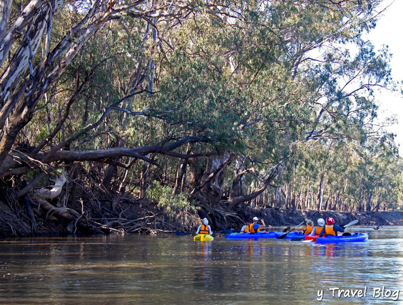 kayakers on murrumbidgee river