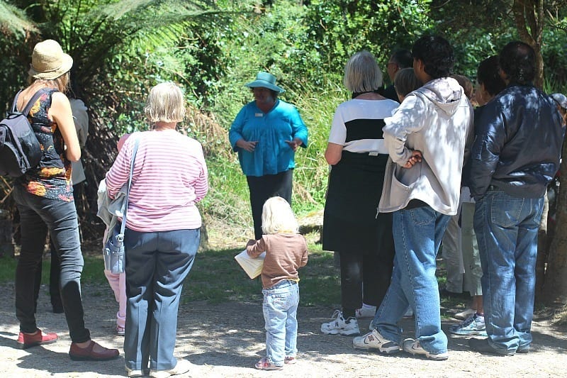 people listening to a woman talk