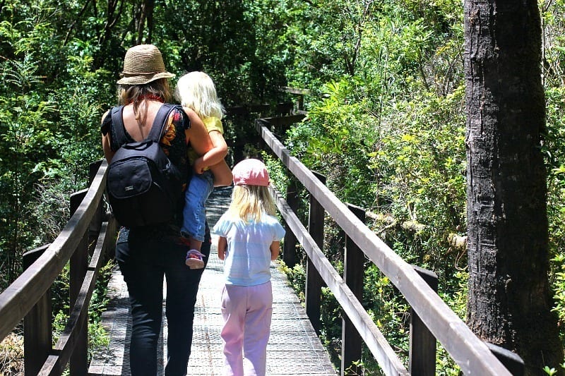 people walking on a boardwalk through trees