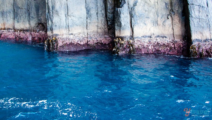 water lapping up to rugged cliffs