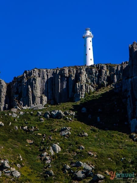 Tasman Island lighthouse (1)