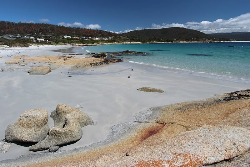 white sand and blue water of Bicheno Beach