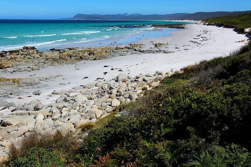 wode swopping Friendly Beaches, Tasmania, Australia