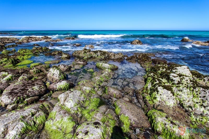 moss covered rocks on Friendly Beaches, 