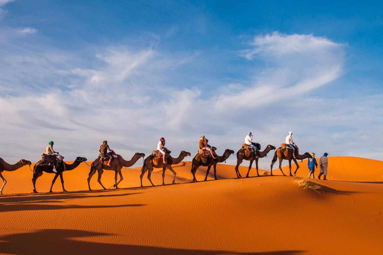 Top Marrakech Tours