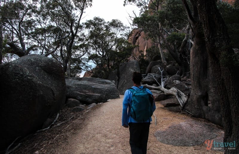 man walking on a hiking trail