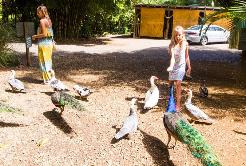 people at the Garden of Eden bird feeding 