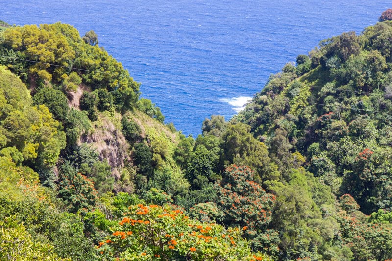 view of ocean over llush clifftops at Garden of Eden 