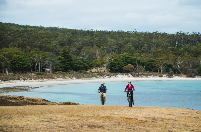 people mountain biking next to beach