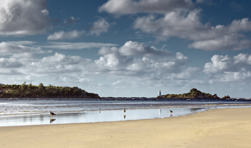 seagulls on beach with lighthouse in background