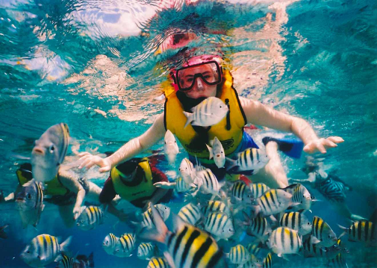 reef snorkeling