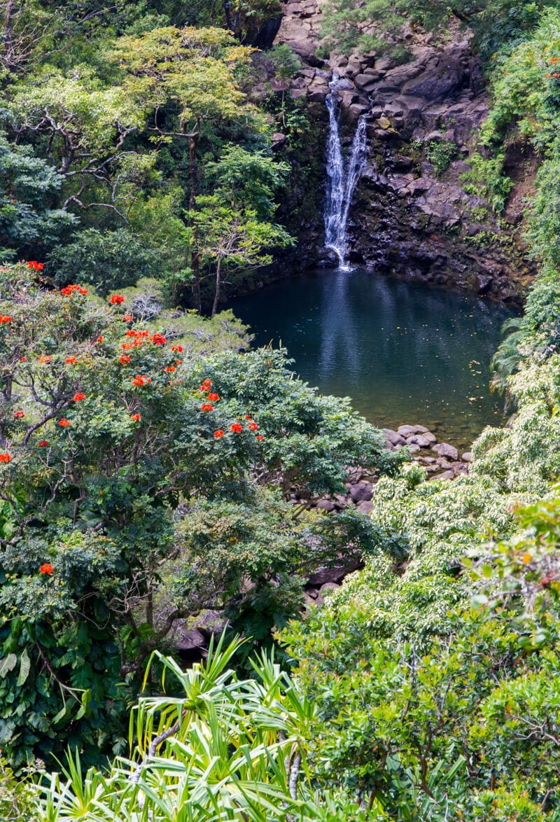 Waterfall droppng into pool of water surrounded by lush jungle in the Garden of Eden