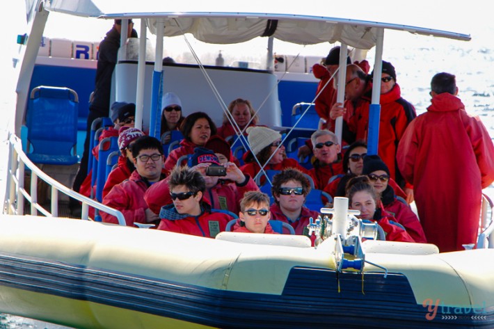 people on a boat Tasman Island cruises