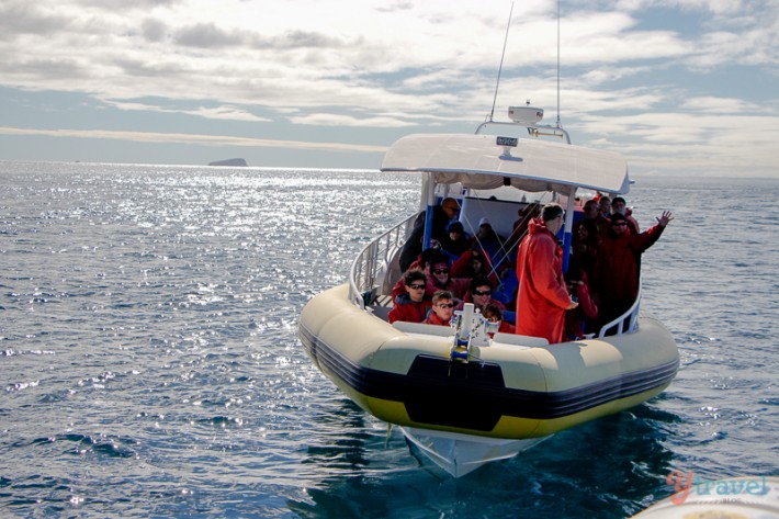 Rob Pennicott tours Hobart Tasmania