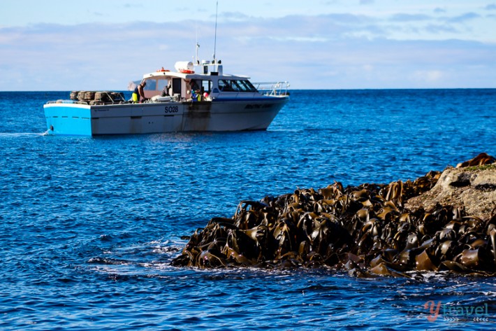 fisherman boat in ocean