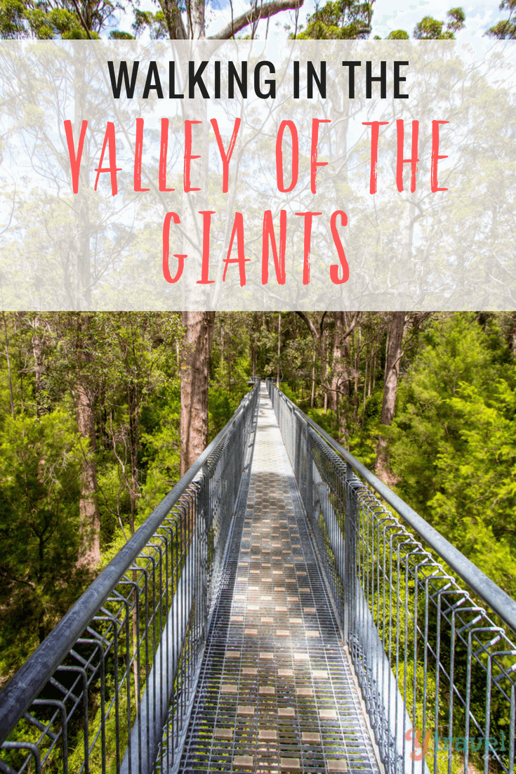 If you find yourself in Australia's South West, a visit to the Valley of the Giants and the Tree Top Walk is a must. Come see for yourself!