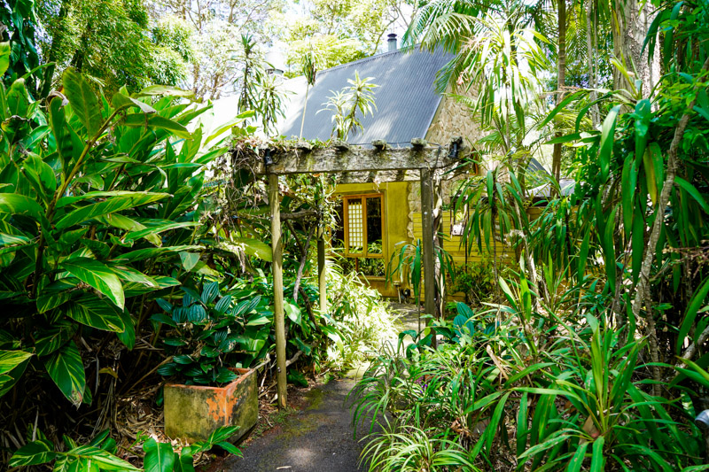 Rainforest walkway to the exterior of Witches Falls Cottages