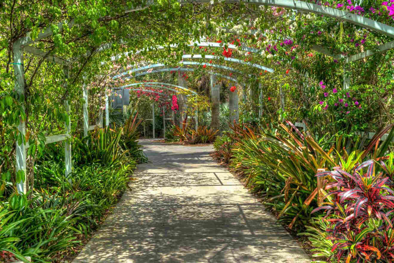 flowered arch footpath at Naples Botanical Gardens