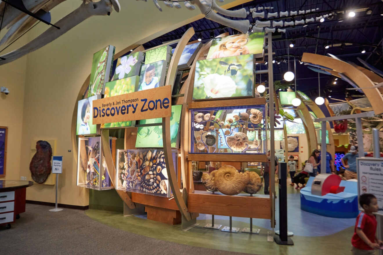 10 Museum of Natural History in Gainesville