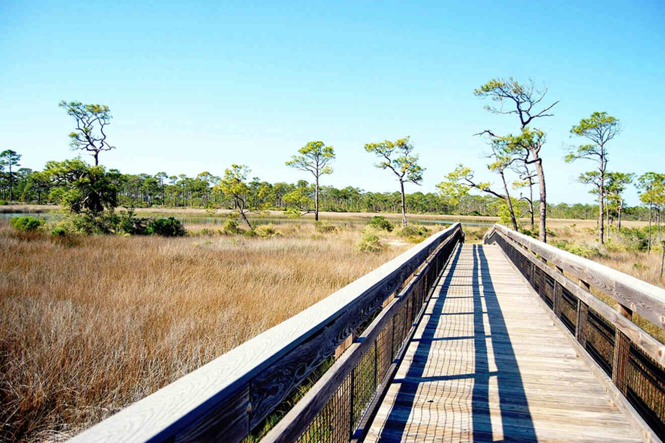 Scipio Creek Boardwalk 