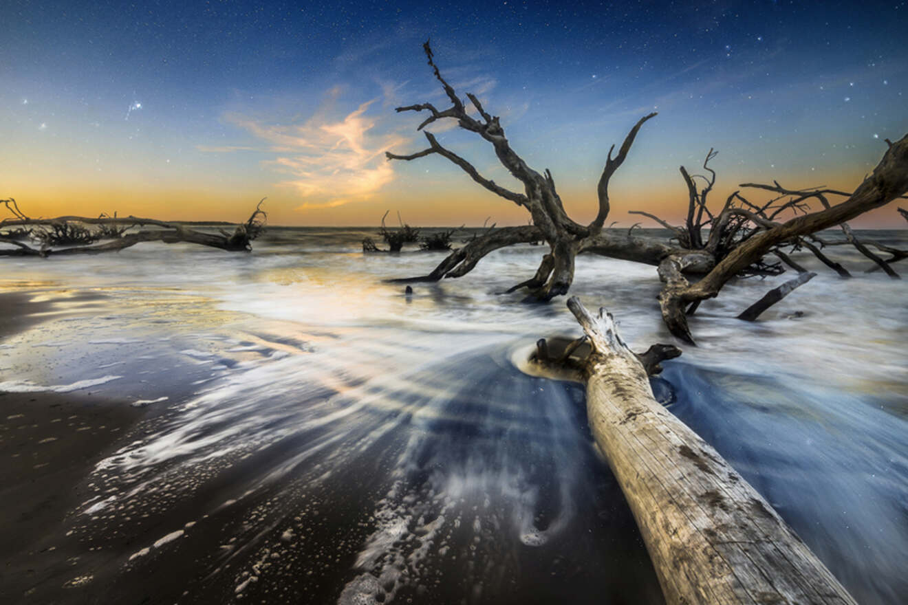 15 Big Talbot Island State Park unique landscape