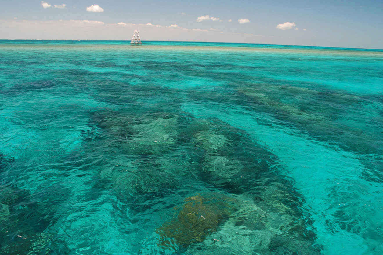 coral reef at John Pennekamp Coral Reef State Park