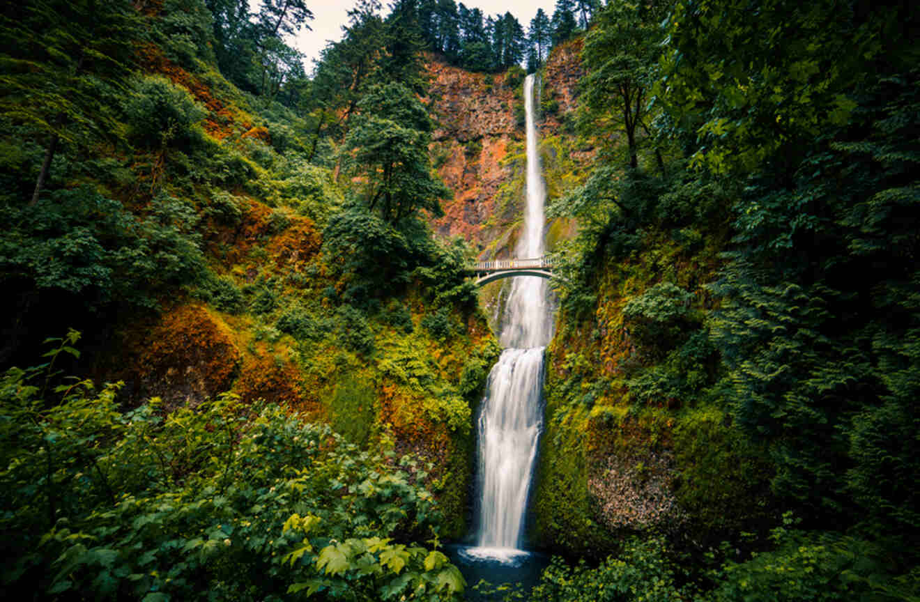 View of Multnomah Falls and the bridge