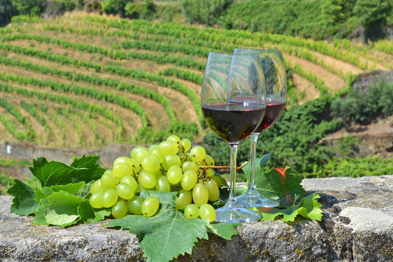 grapes and glasses of wine 