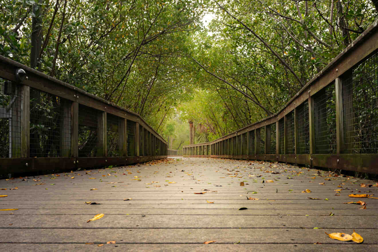 4 Riverwalk Boardwalk