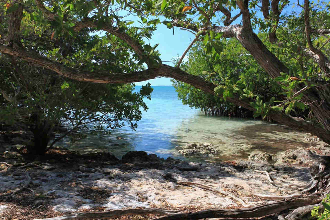 beach at  Indian Key Historic State Park