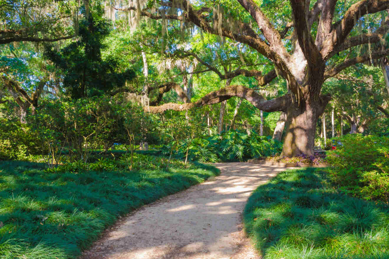 5 Washington Oaks State Park