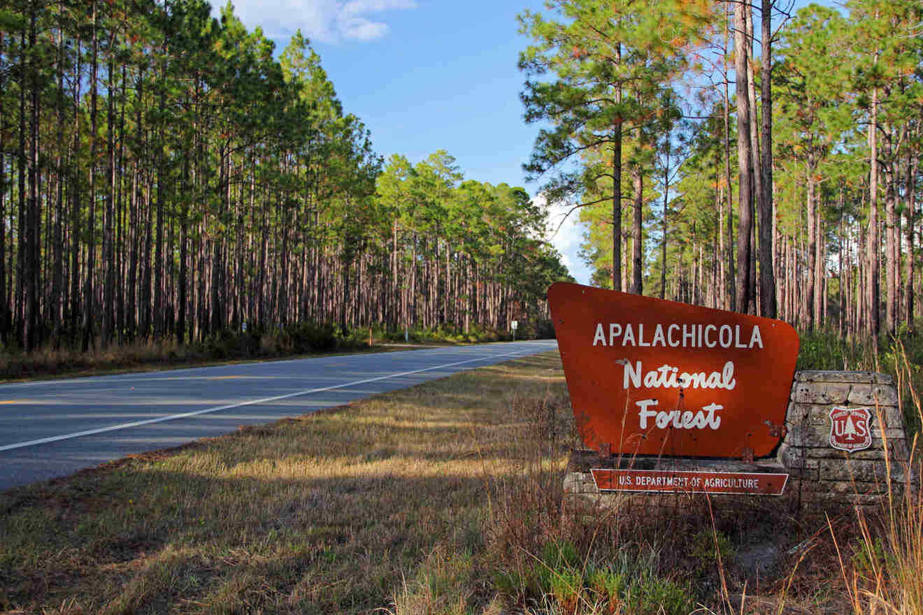 Apalachicola National Forest