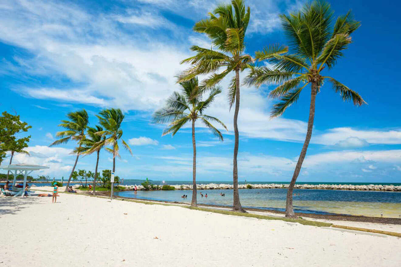 white sand beach with palm trees