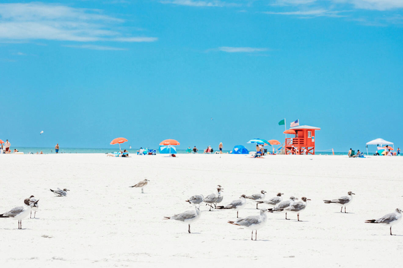 lifeguard house and seagulls at Siesta Key Beach