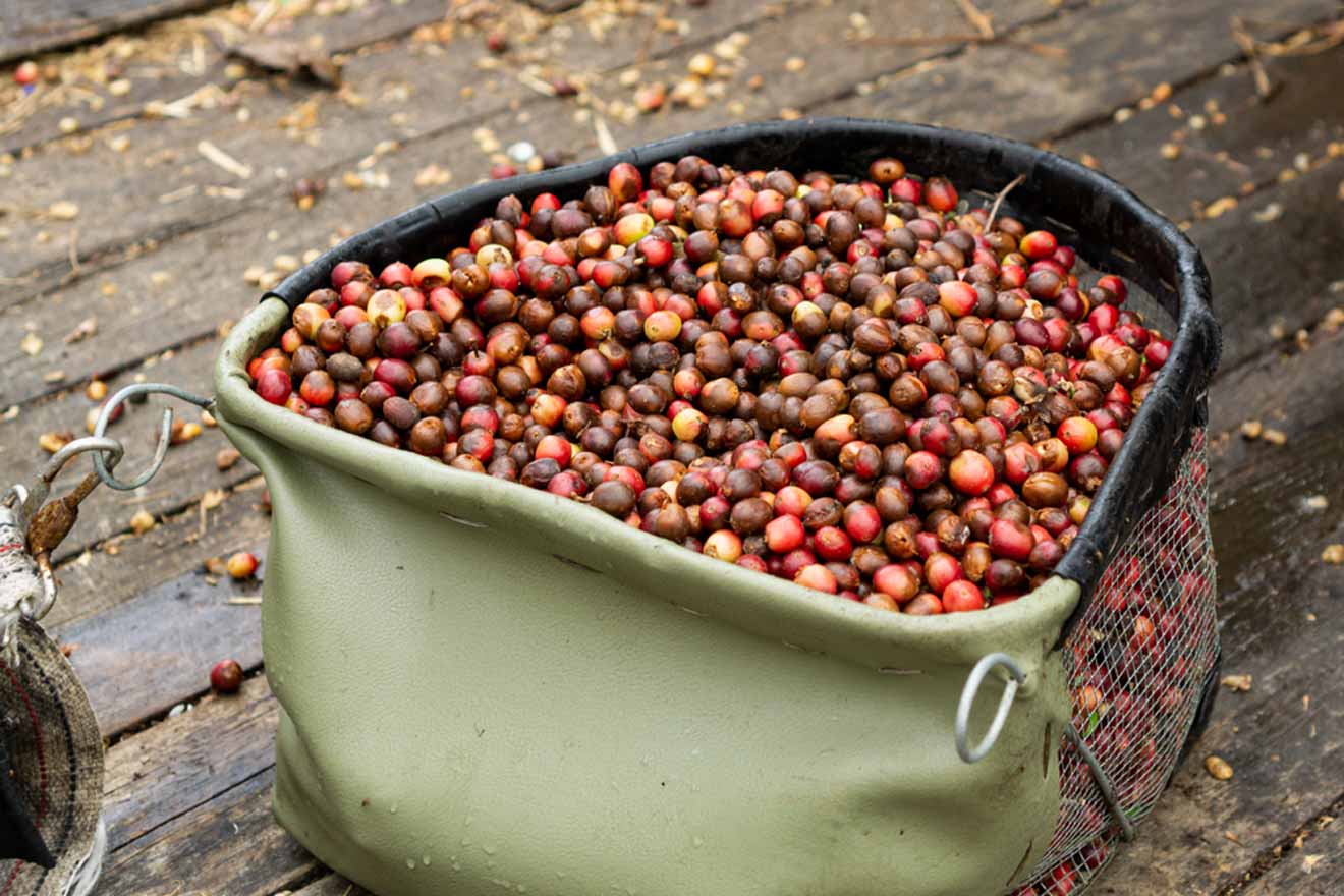 A bag with coffee beans