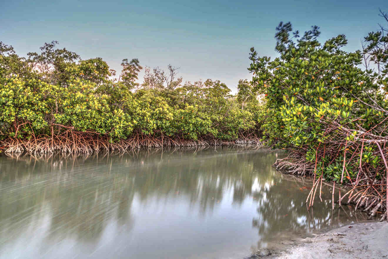 water and trees at Clam Pass Park