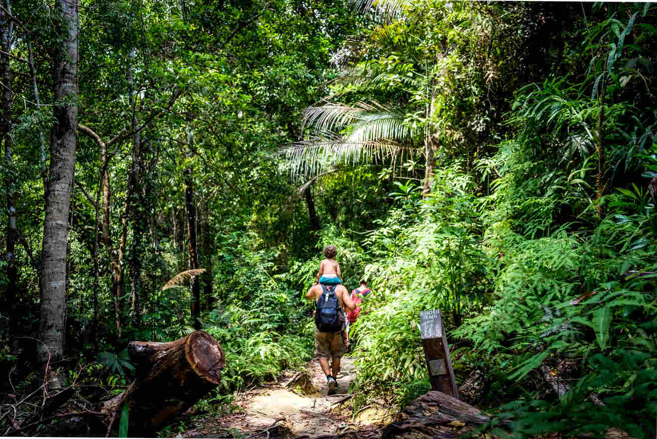 A man carrying a child on his shoulders through the Penang National Park