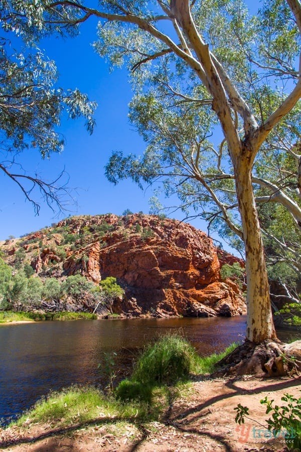 Ellery Creek Big Hole 