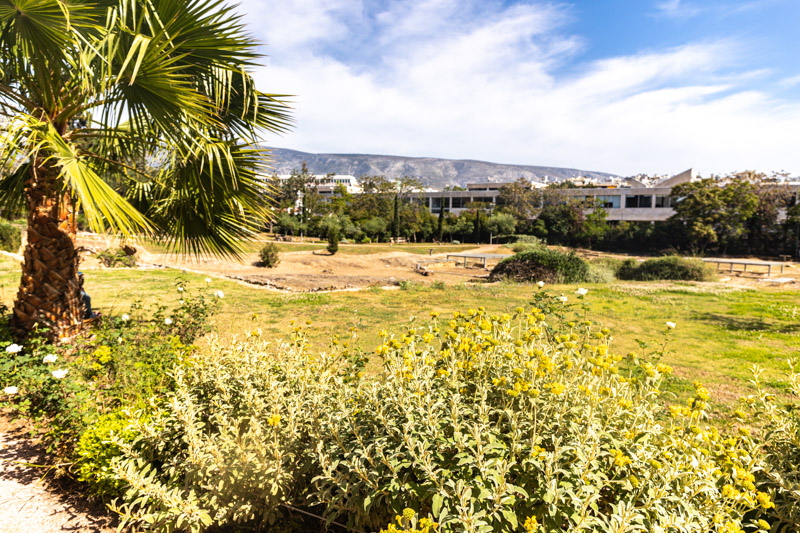 palm trees and plants in front of view of  Aristotle's Lyceum remains