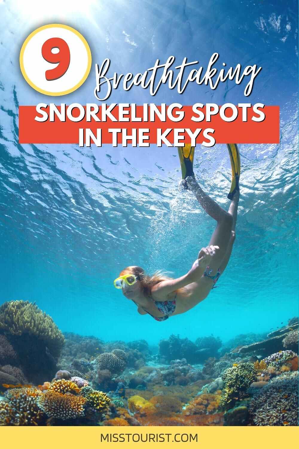 Best Snorkeling in the Keys PIN 1