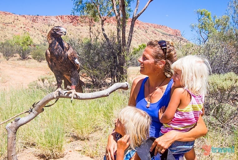 people looking at a bird on a branch