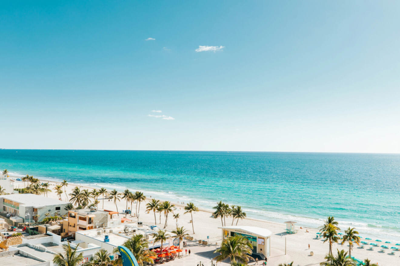 beachfront with palm trees and white sand beach