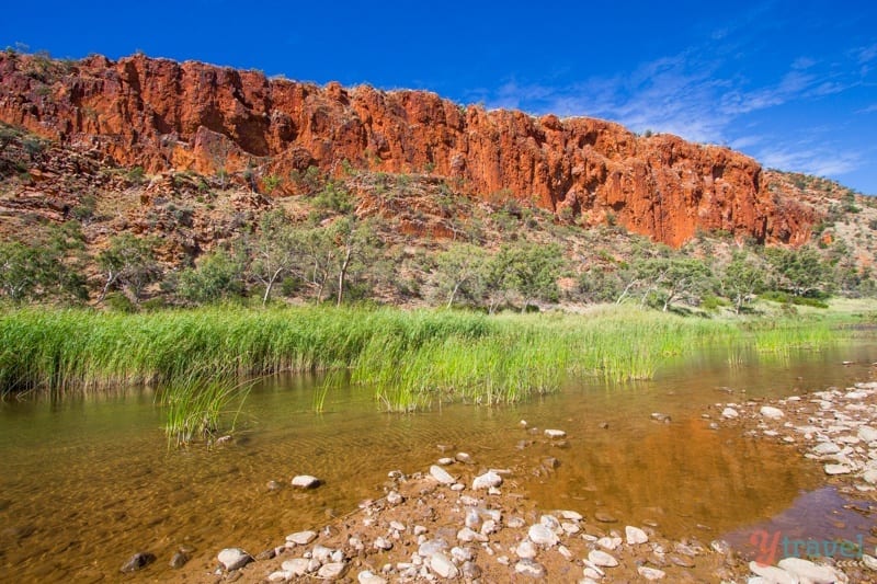 water and grass in a canyon