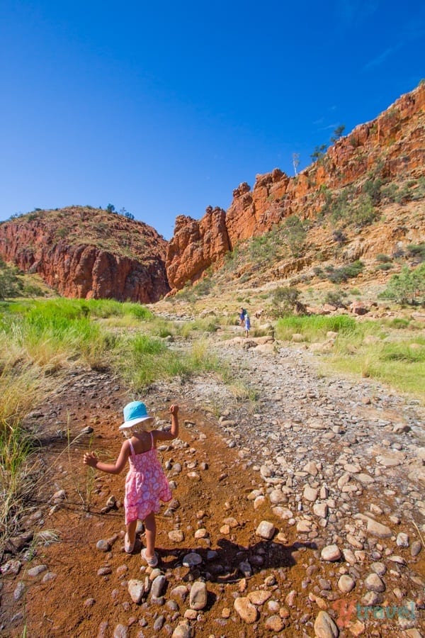 savannah walking on a dirt path