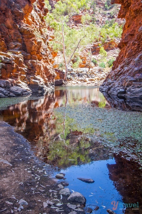 a river going through a canyon