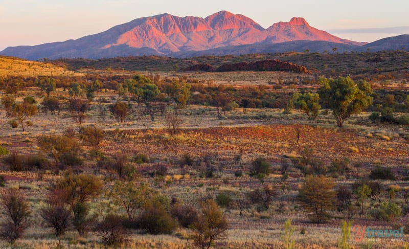 Sunrise casting red glow over Mt Sonder 