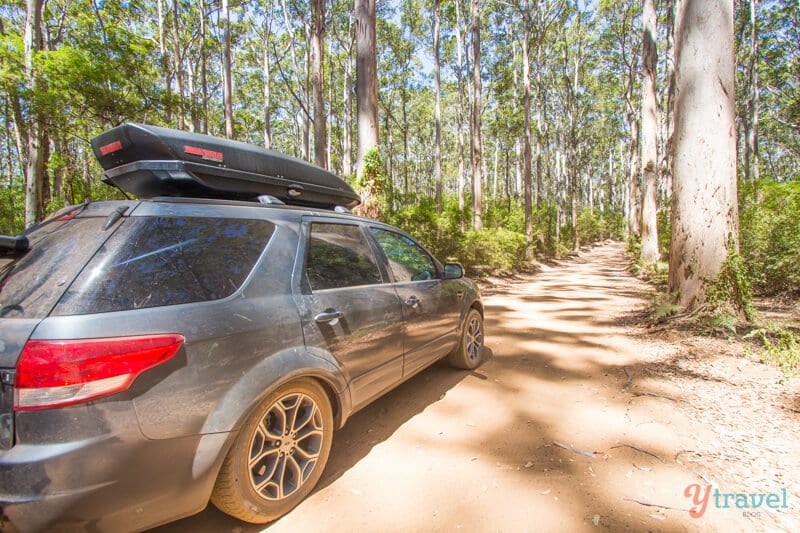 car on trail through forest